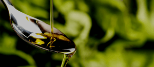 Rincon de la Subbetica Bio Olivenöl aus Spanien, mehrfacher Testsieger als bestes Olivenöl der Welt, für wahre Feinschmecker