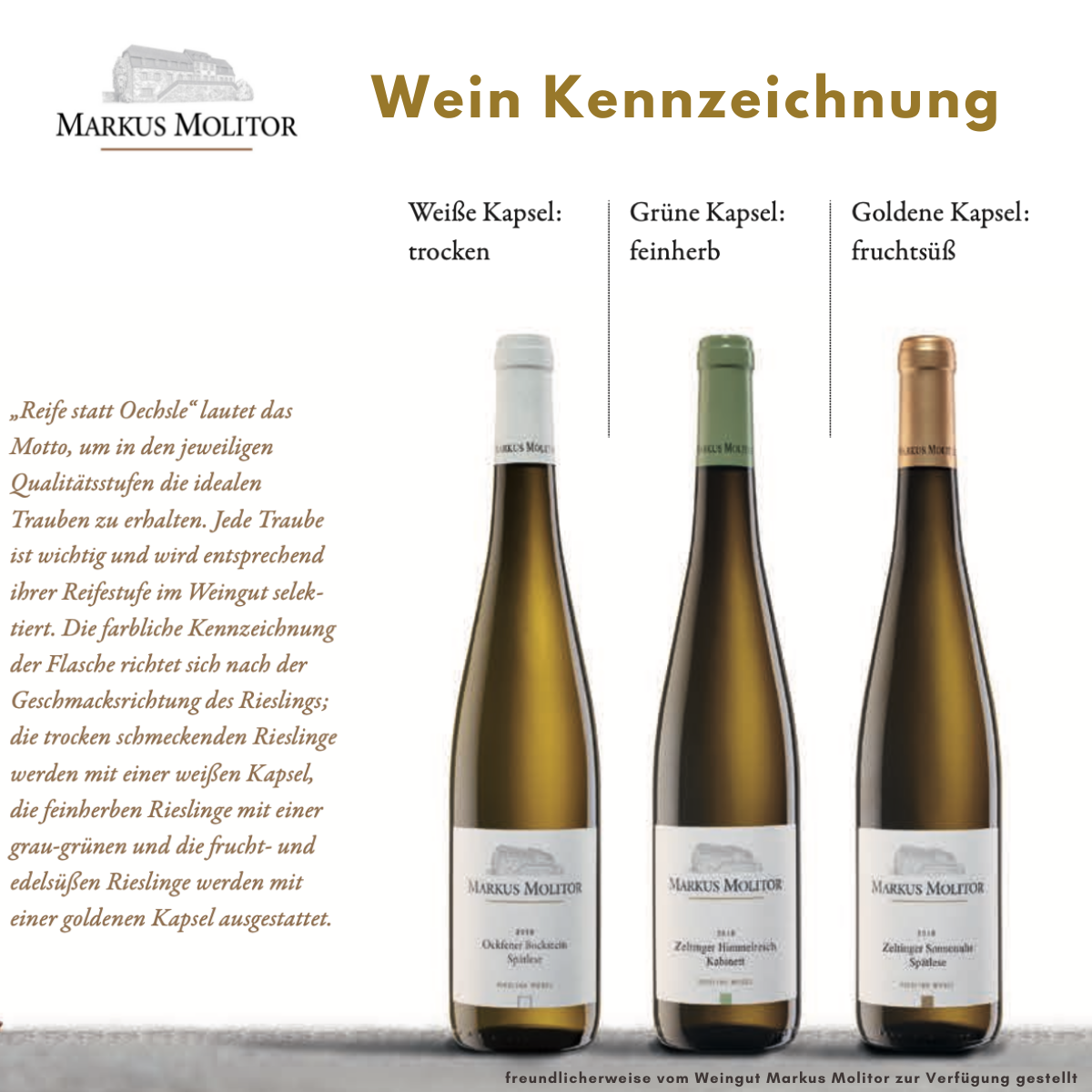 Markus Molitor Riesling Wein-Geschenkset "taste the difference"