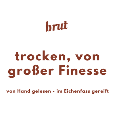 Cidre Brut (0,75l) - trocken, intensiver Apfelgeschmack von Kerveguen