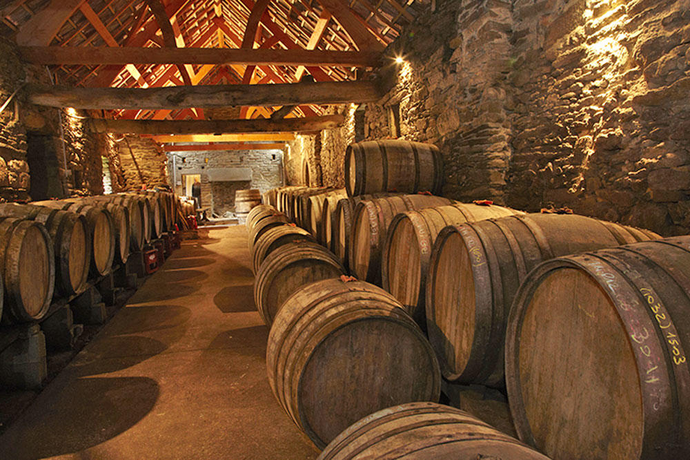 Carpe Diem (0,75l) - exklusiver Cidre aus der Bretagne von Kerveguen